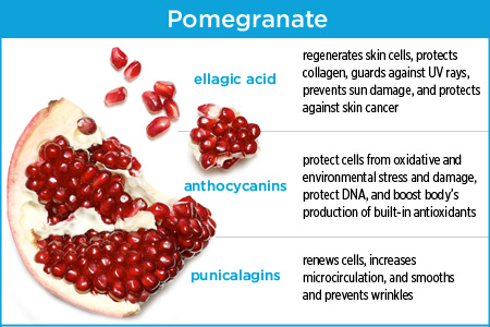 Ingredient Lab: Pomegranates (Women's Health Magazine)